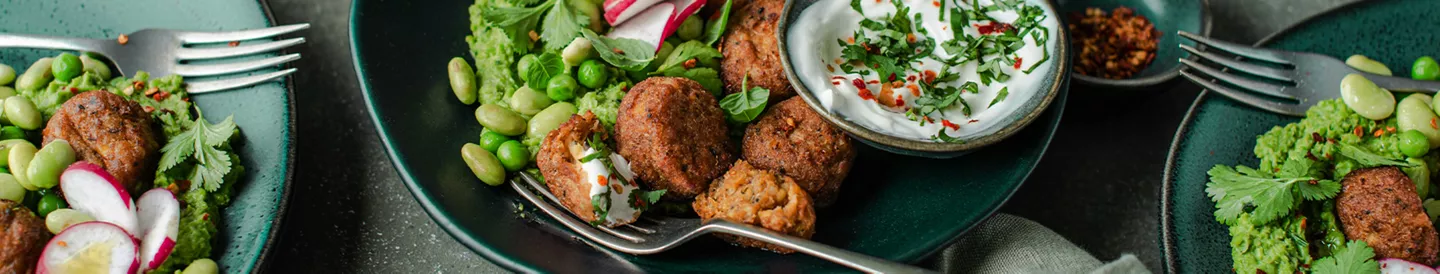 Platos de falafel y verduras para aplicar en una dieta plant based