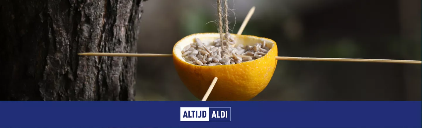 knutselen met vogelvoer