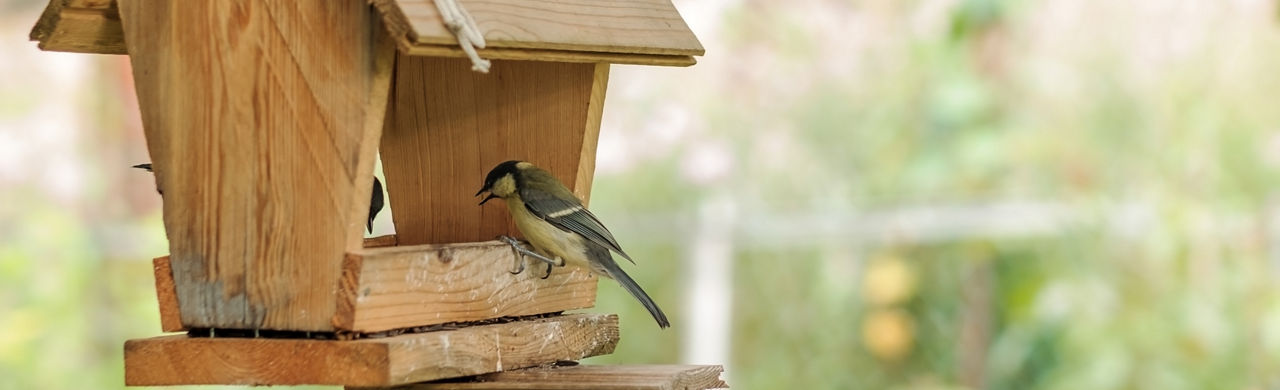 vogelhuisje maken