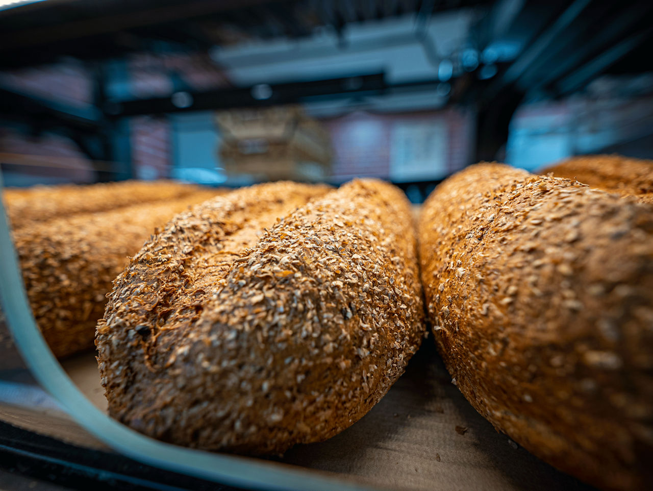 Versgebakken brood van bakkerij Faber in Hoogeveen voor ALDI