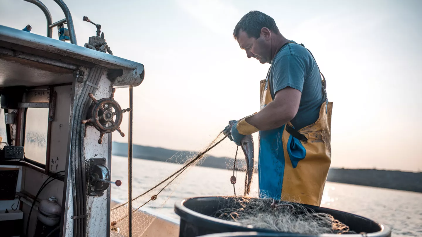 L’agriculture BIO favorise les filières locales