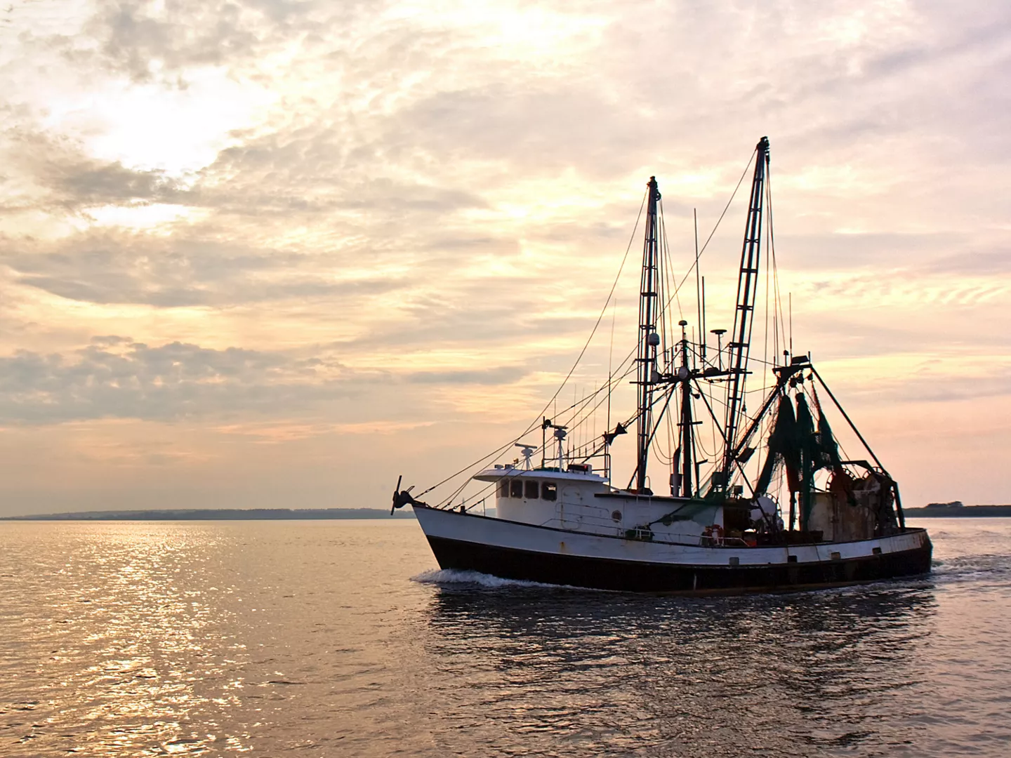 Bewuste vis - ALDI Supermarkten