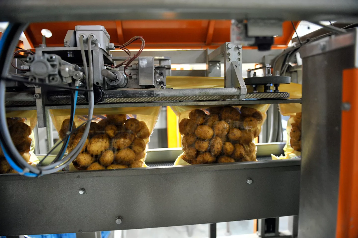 Nederlandse aardappels worden verpakt door een machine van aardappelgroothandel Greydanus in Heerenveen voor ALDI