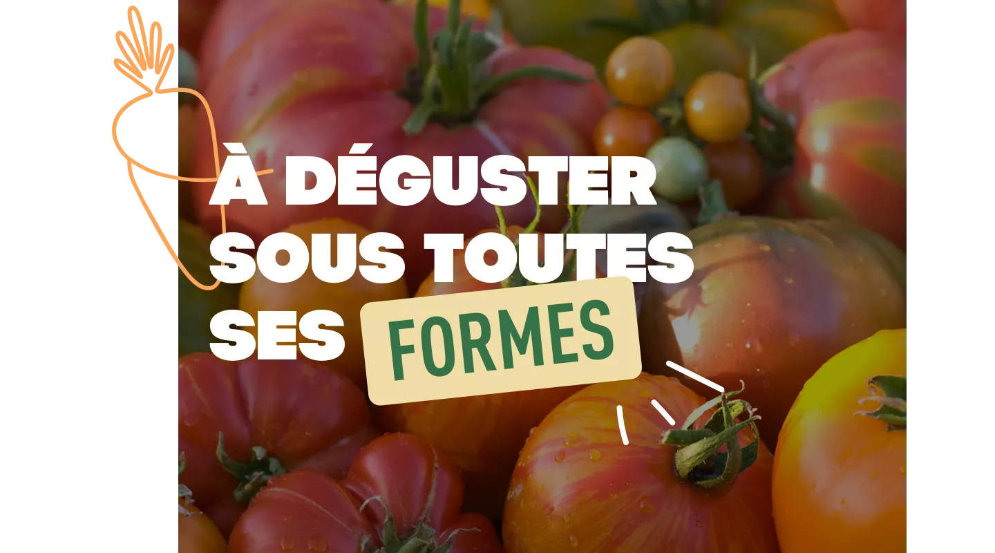 pensez à des recettes qui demandent des ingrédients de base communs