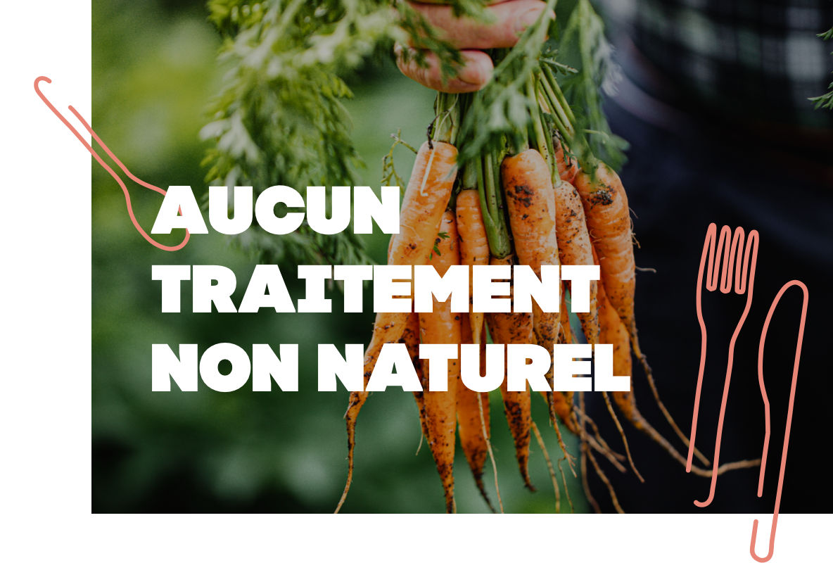 Un produit bio, qu’est-ce que c’est ?