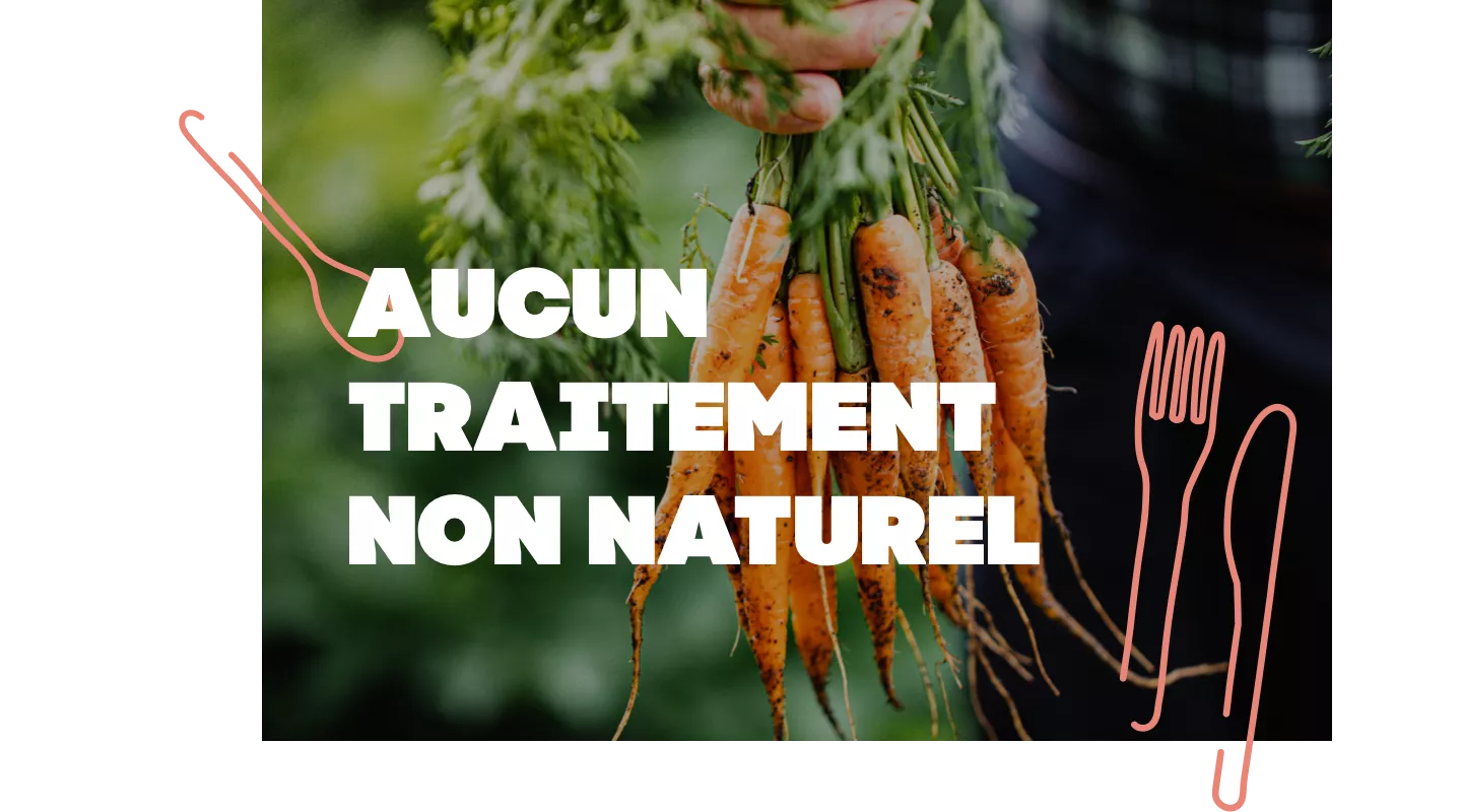 Un produit bio, qu’est-ce que c’est ?