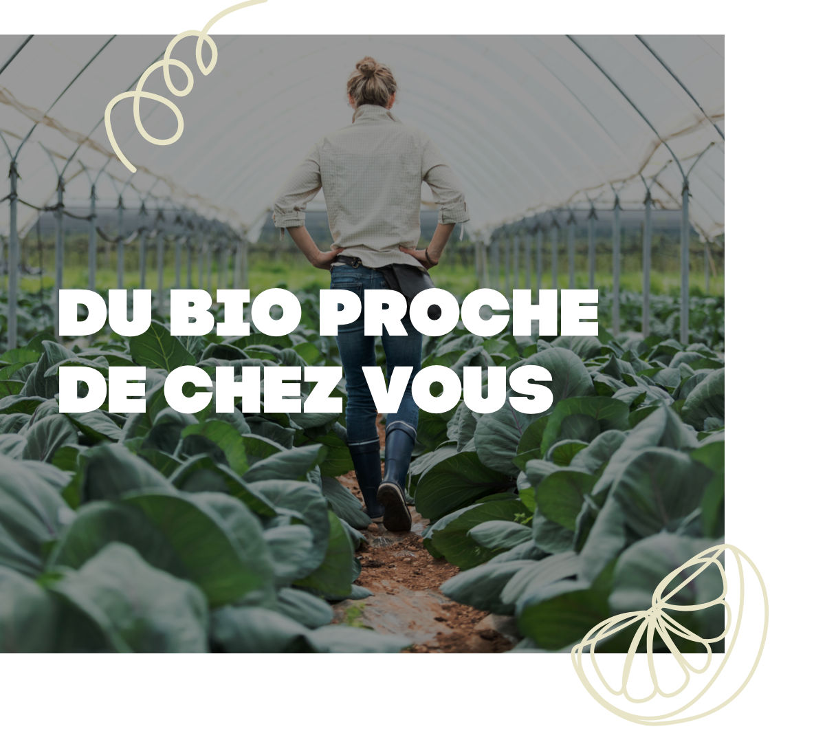  L’intérêt de manger bio