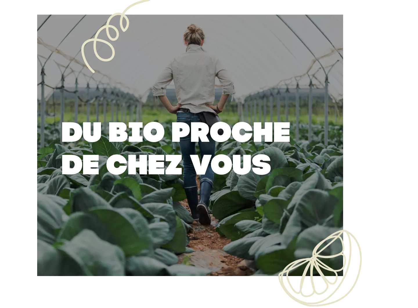  L’intérêt de manger bio