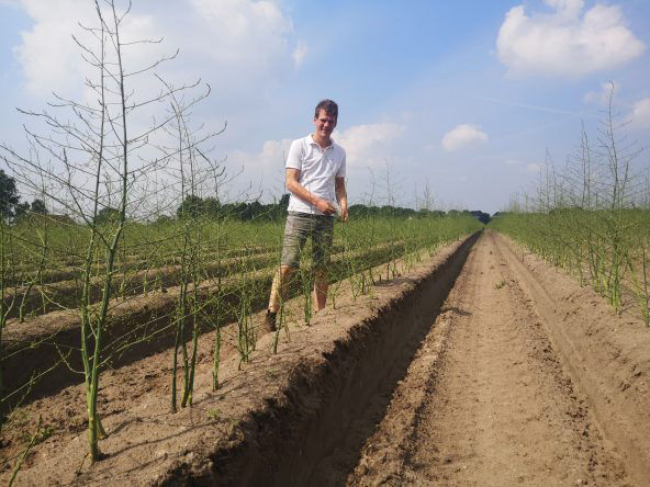 Interview Evert Engels