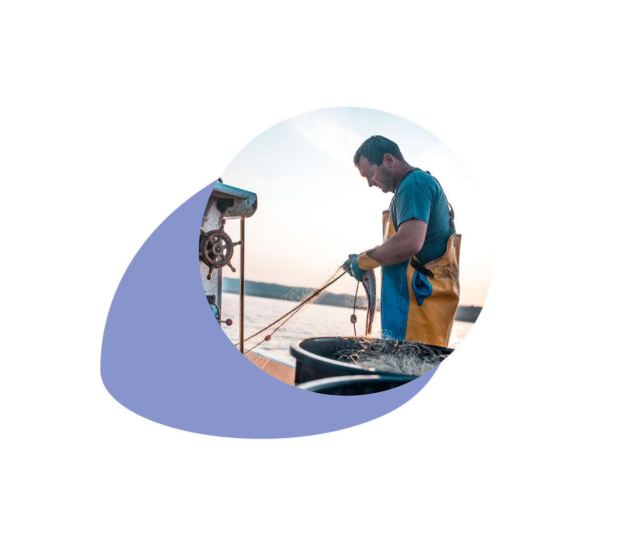 Politique d'achat de poisson durable