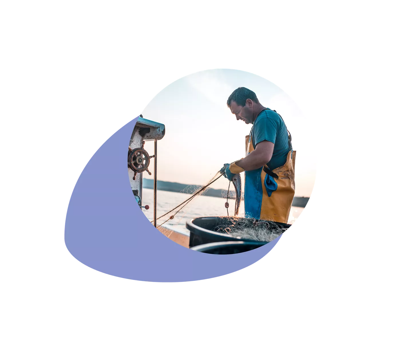 Politique d'achat de poisson durable