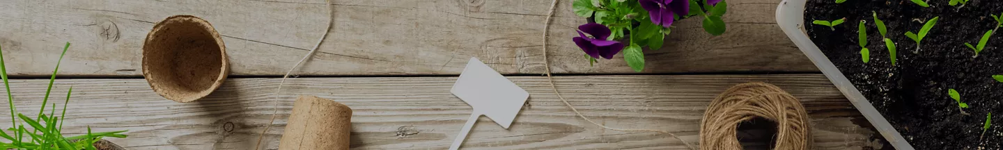 Préparer son jardin en mars
