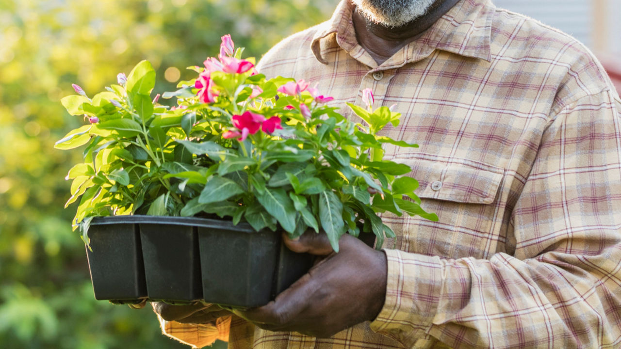 Et pour un joli jardin printanier ?