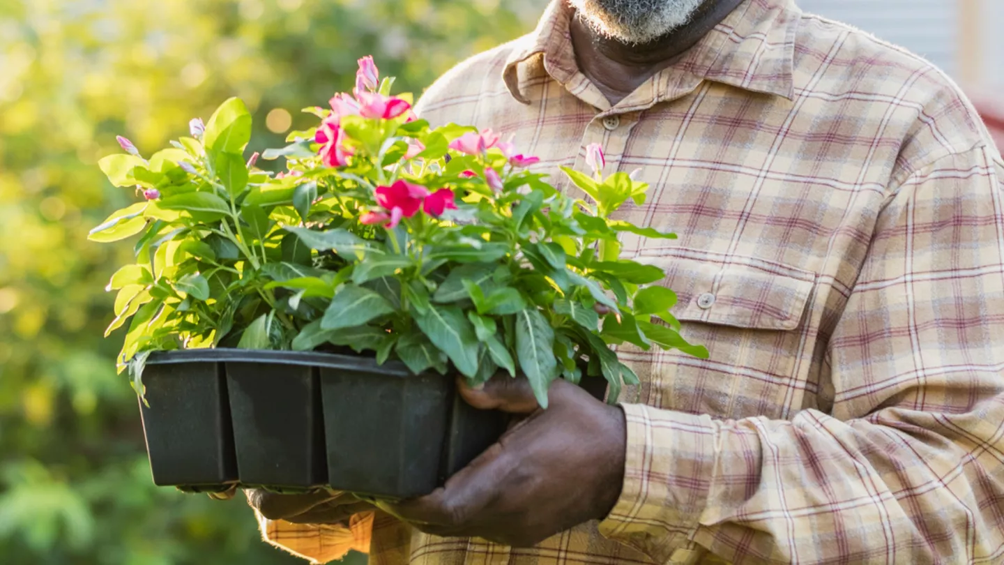 Et pour un joli jardin printanier ?