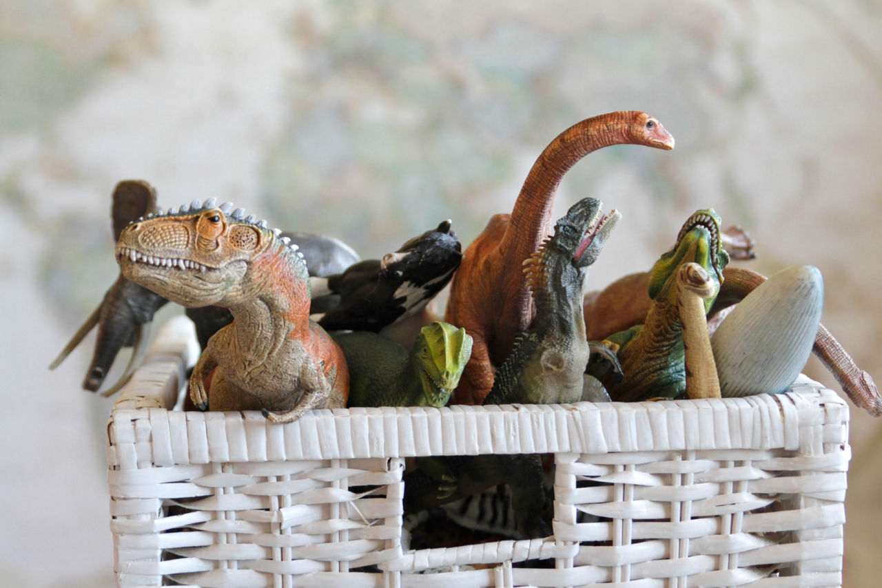 Grand ménage pour les jouets