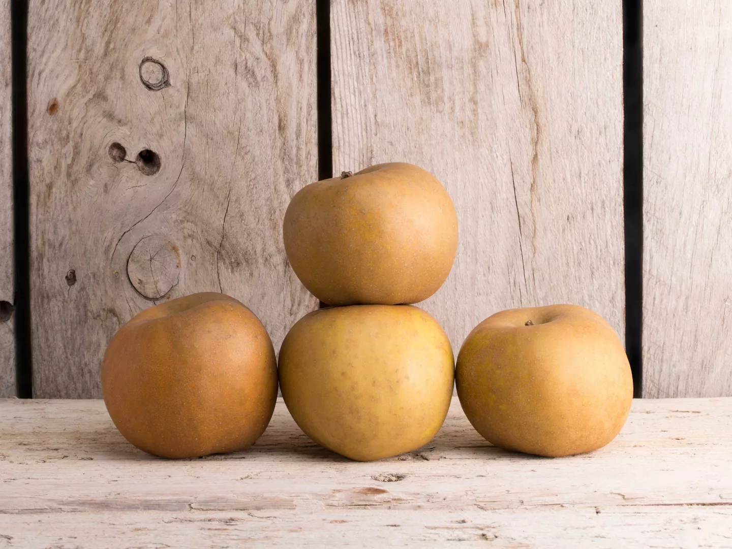 manzana reineta