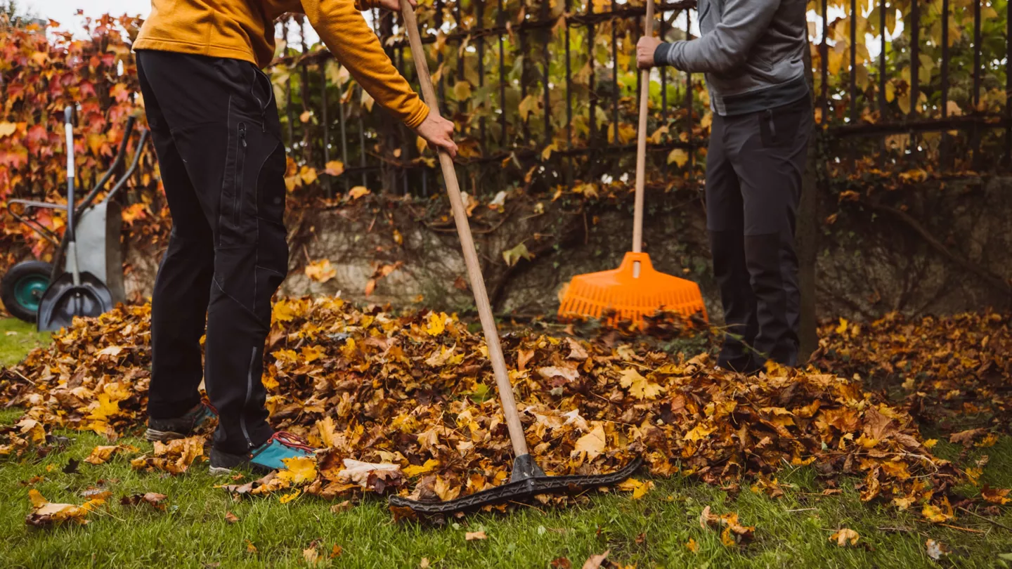 Nettoyer votre jardin à l’automne