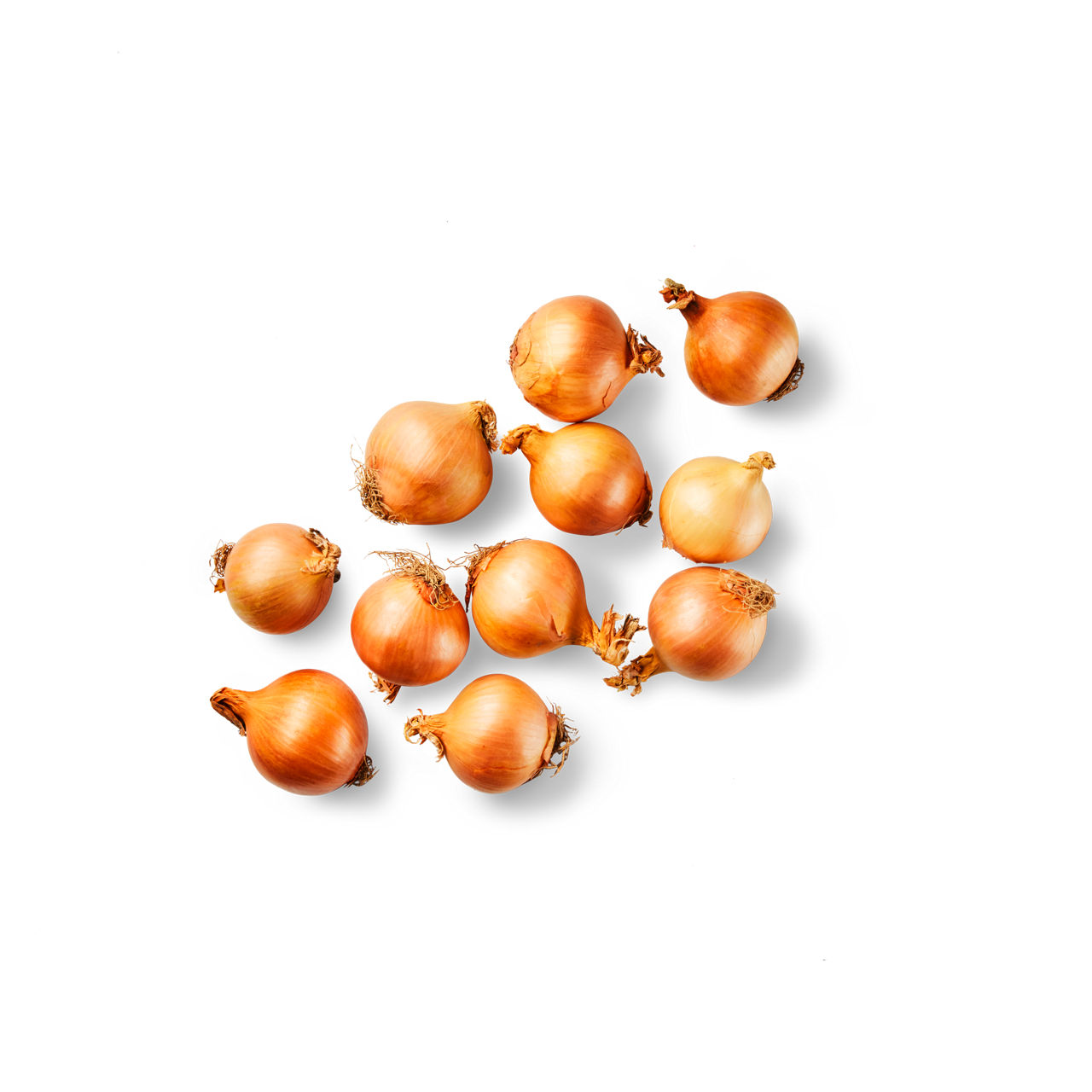 Uien