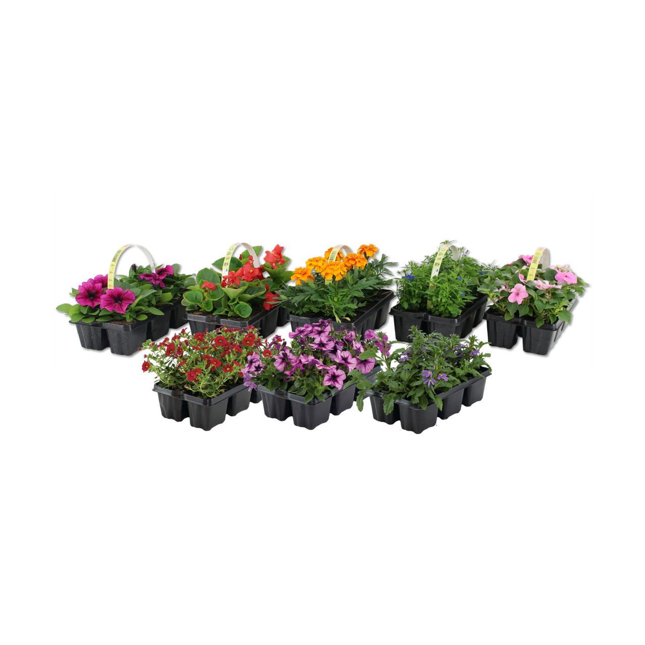 6-pack zaai- of perkgoed