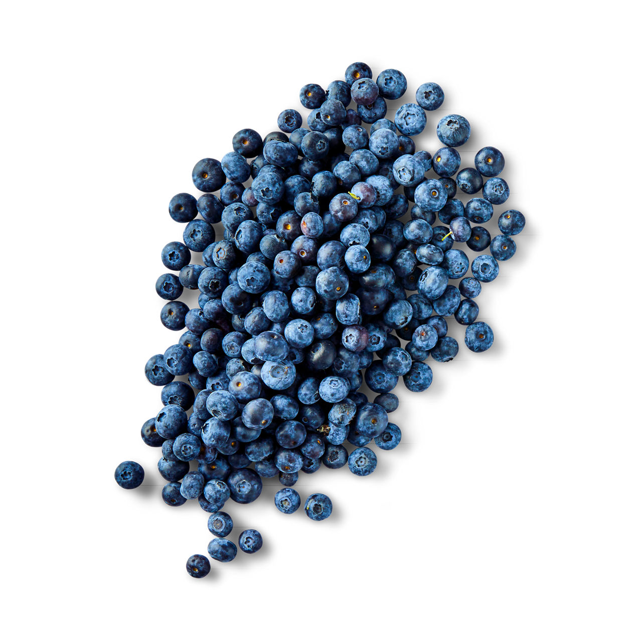 Blauwe bessen