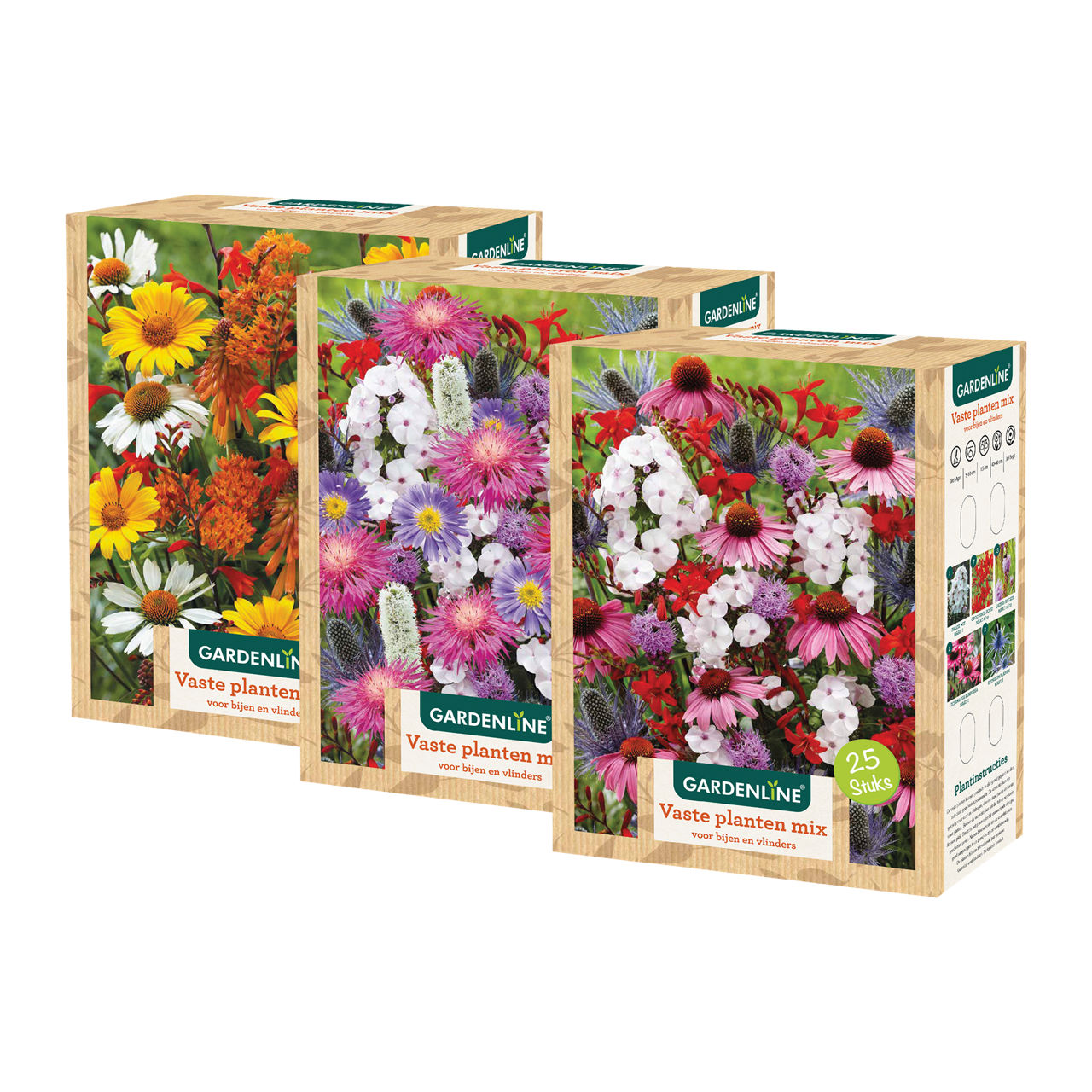 Bloembollen voor vaste planten