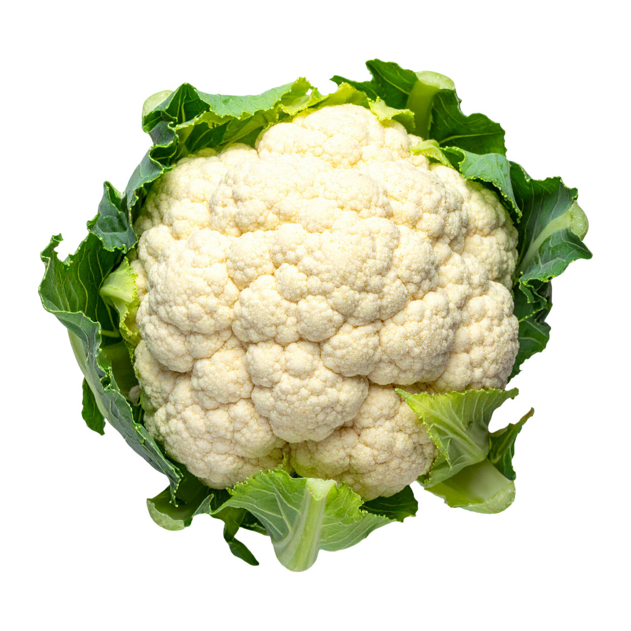 Bloemkool