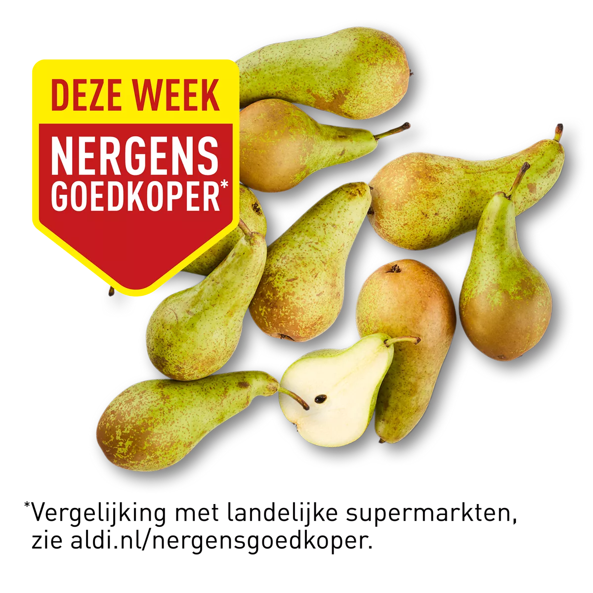 Conference peren