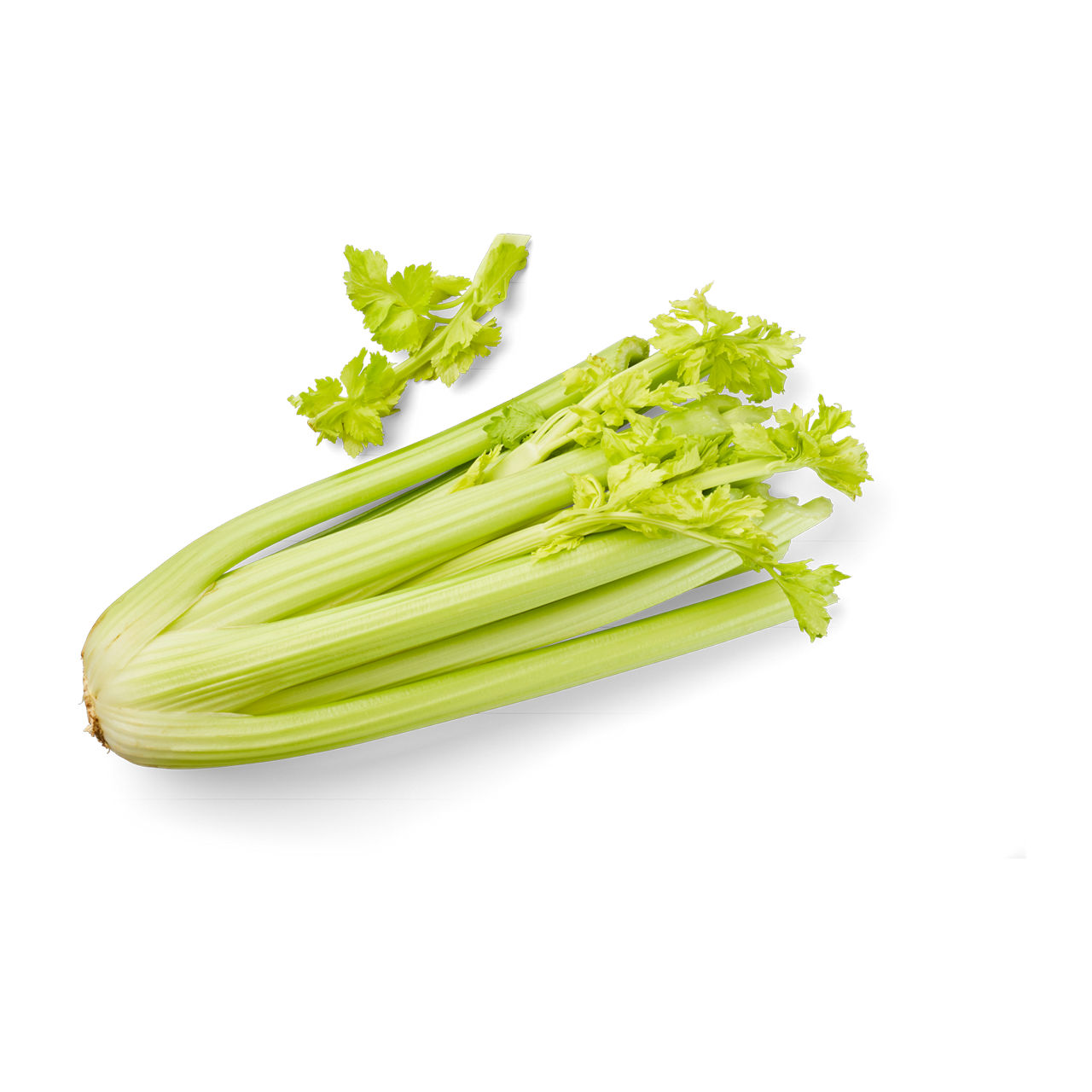 Bleekselderij
