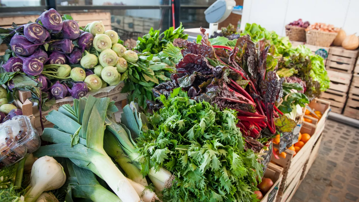 Qu’est-ce qu’on plante au potager ?