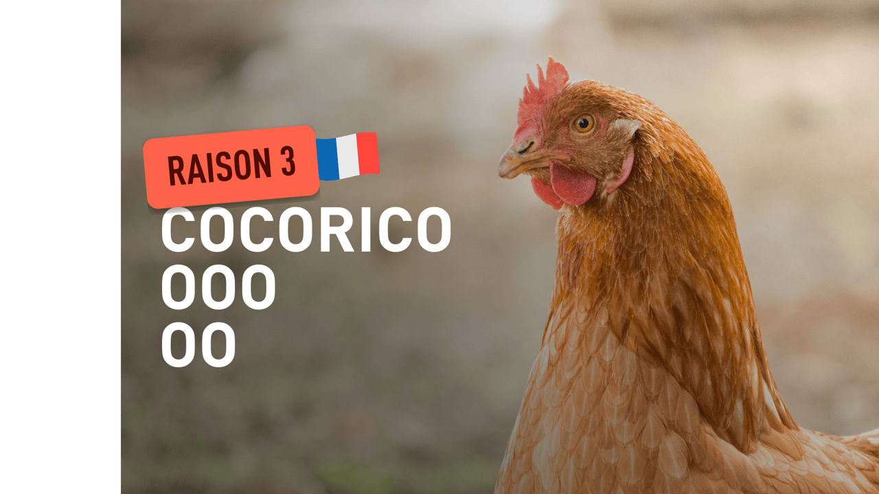 raison 3