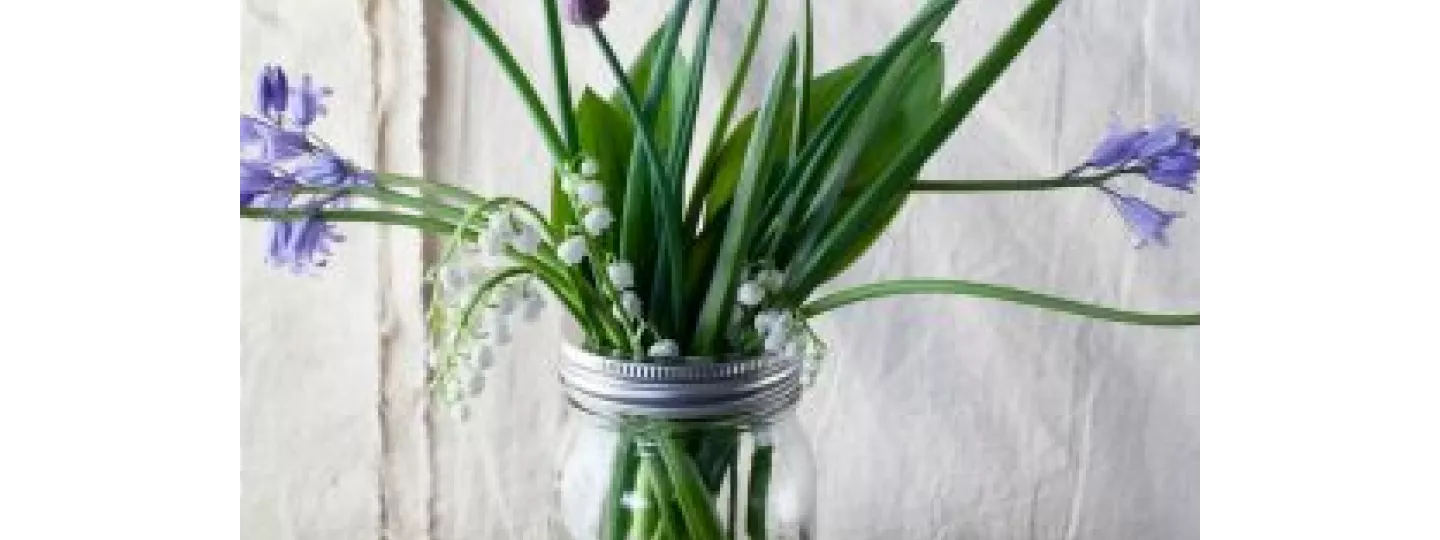 Offrez un joli bouquet de muguet pour la fête du travail !