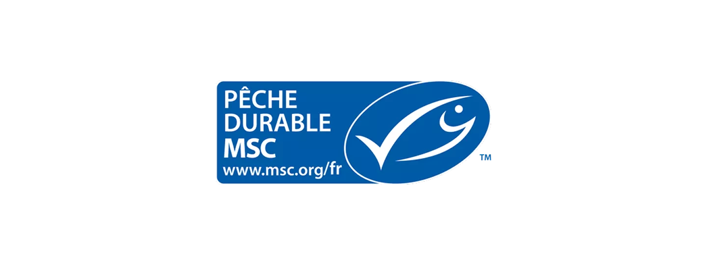 MSC