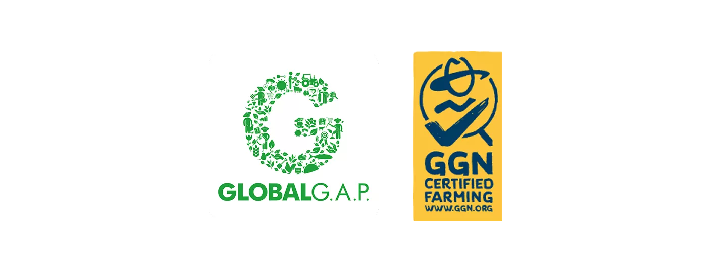 GLOBALG.A.P.