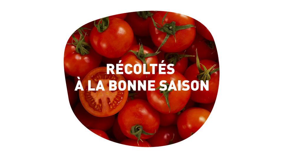 produits de qualité et plus respectueux de l'environnement