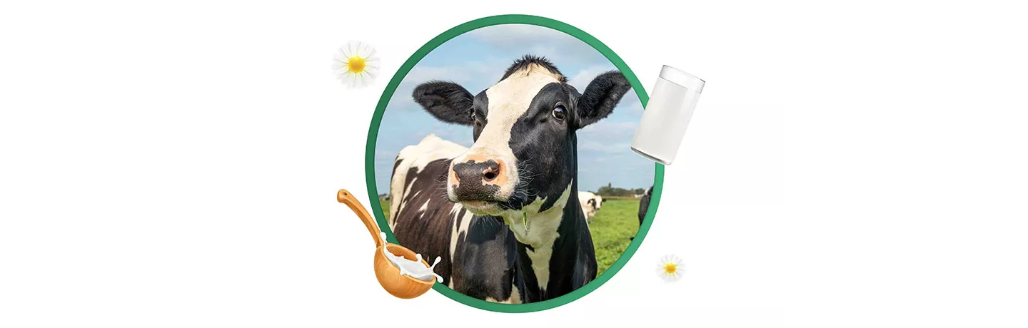  Kiedy można używać znaku Produkt polski?