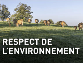 respect de l'environnement