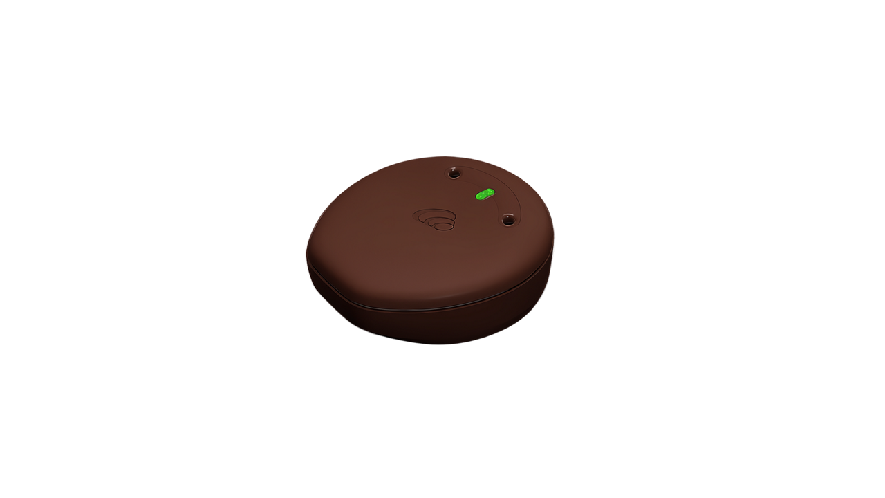 Small brown electronic device with indicator light