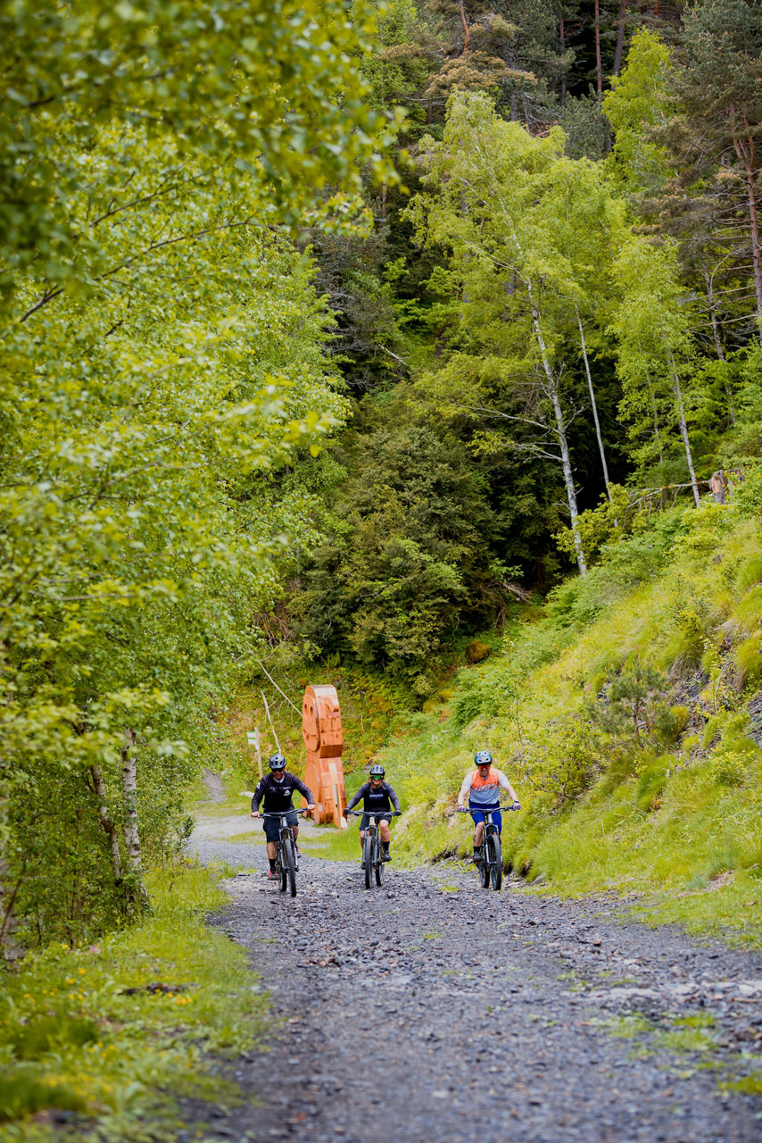 /content/dam/visitandorra/ca/assets/images/què-fer/natura/andorra-sports-training-country/entrenaments-outdoor-a-andorra/0206211427_BIKES Andorra (Qucut)__MG_7079 (1).jpg