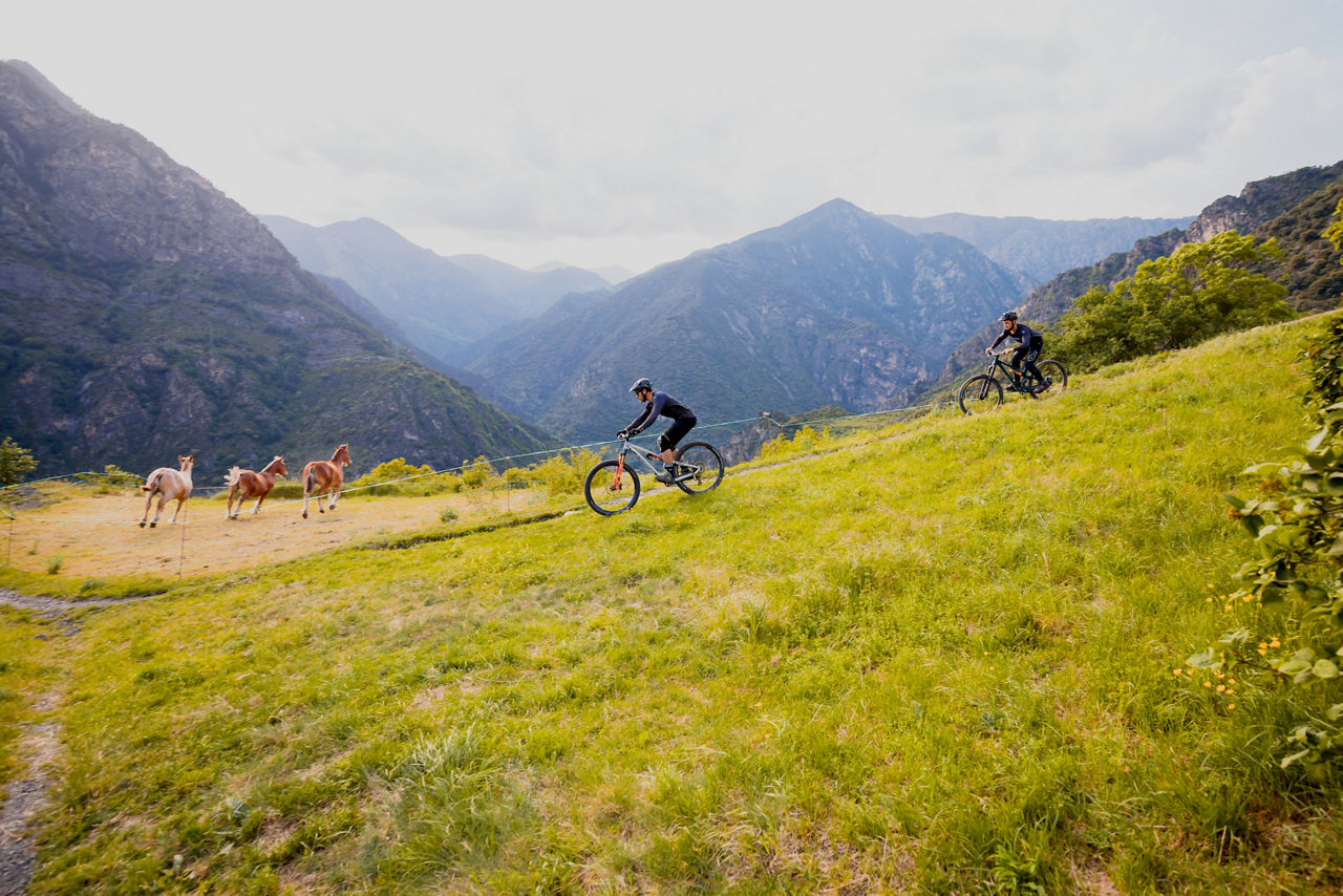 /content/dam/visitandorra/ca/assets/images/què-fer/natura/andorra-sports-training-country/entrenament-en-altura-a-andorra/0306211931_BIKES Andorra (Qucut)_PSH_8795.jpg