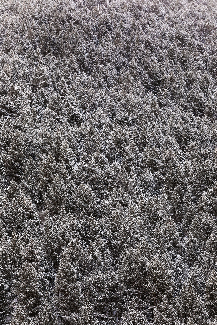 La neu de la muntanya d'Andorra