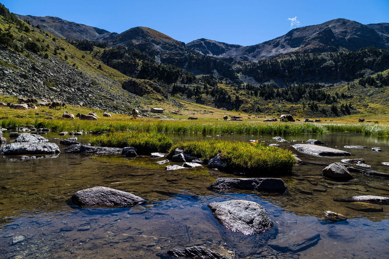 /content/dam/visitandorra/ca/assets/images/què-fer/natura/active-tourism-companies-entities/100 natura - pesca.jpg