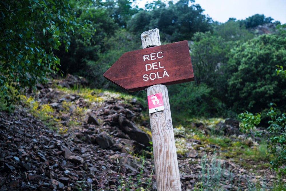 1000-ruta-de-senderisme-rec-del-sola-5.jpg