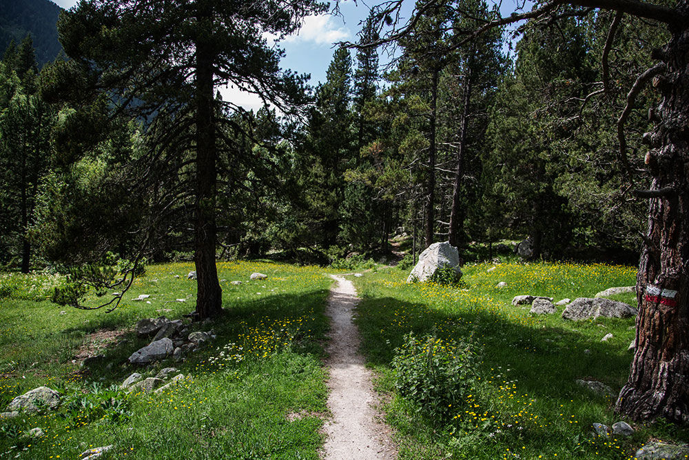 1000x667-parcs-naturals-d-andorra2.jpg