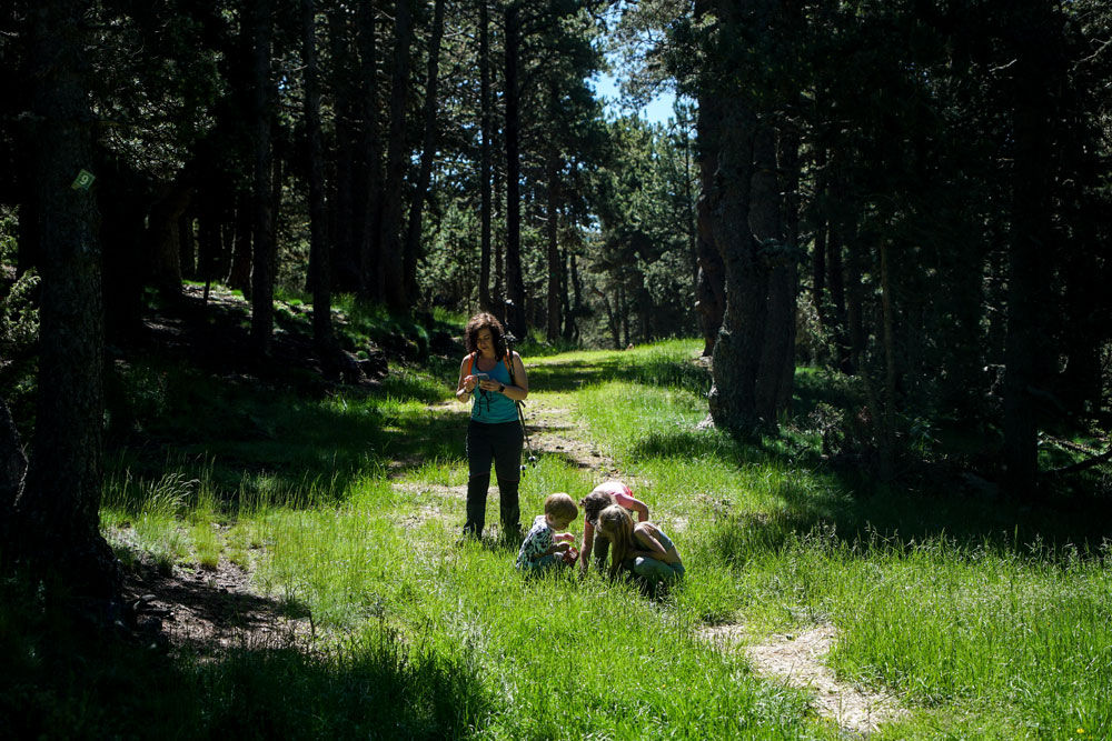 1000x667-ruta-guiada-secrets-del-bosc-naturland2.jpg