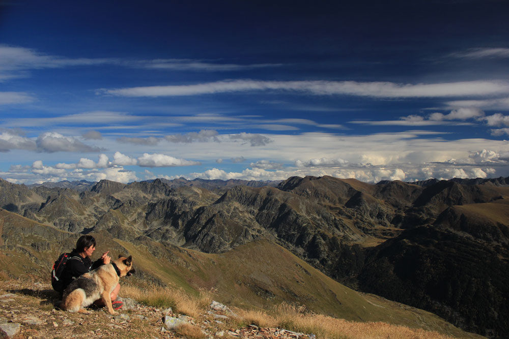 1000x667-sherpa-excursions-canines-andorra5.jpg