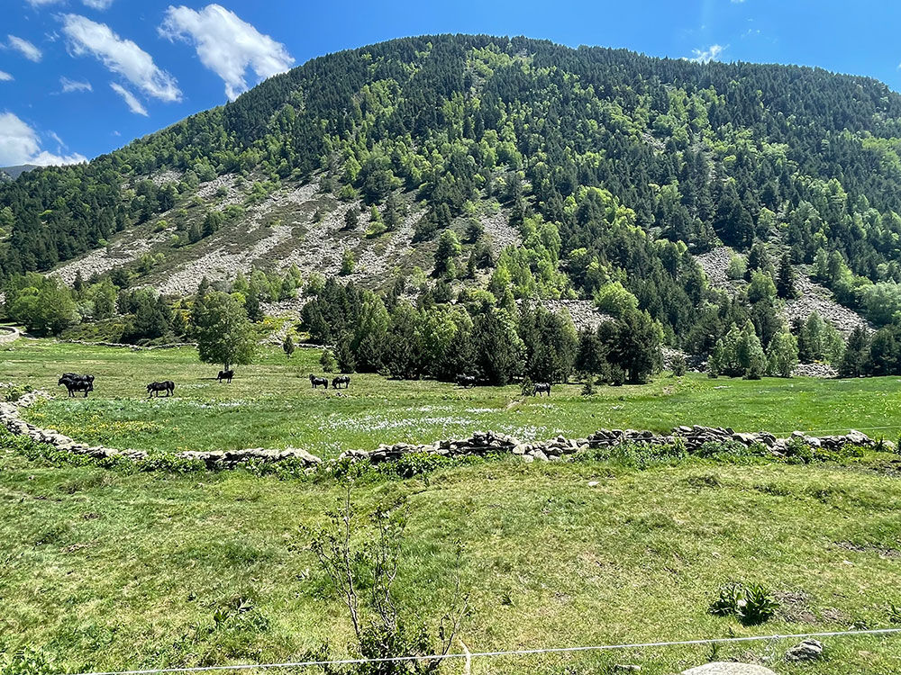 1000x750-mirador-de-la-vall-incles4.jpg