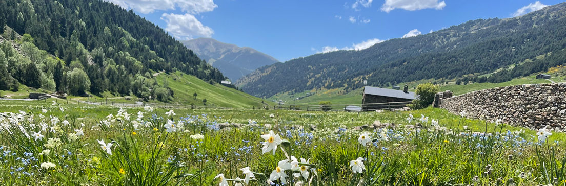 /content/dam/visitandorra/ca/assets/images/coneix-andorra/explora-andorra/1104X364_incles.jpg