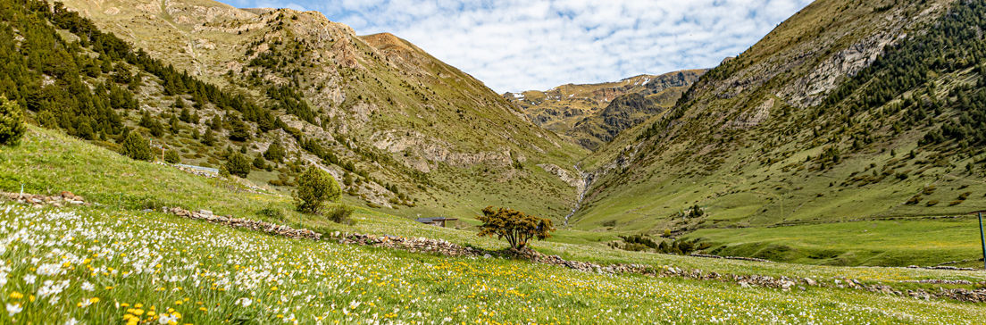/content/dam/visitandorra/ca/assets/images/coneix-andorra/explora-andorra/1104X364_incles2.jpg