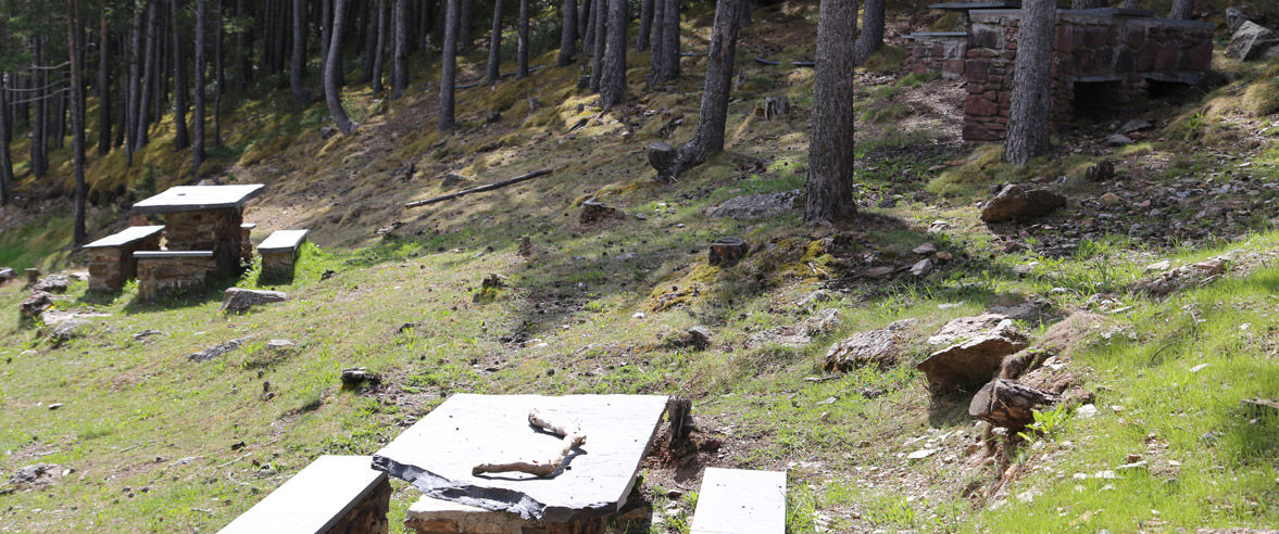 1177x492-area-de-picnic-font-de-montllobar.jpg