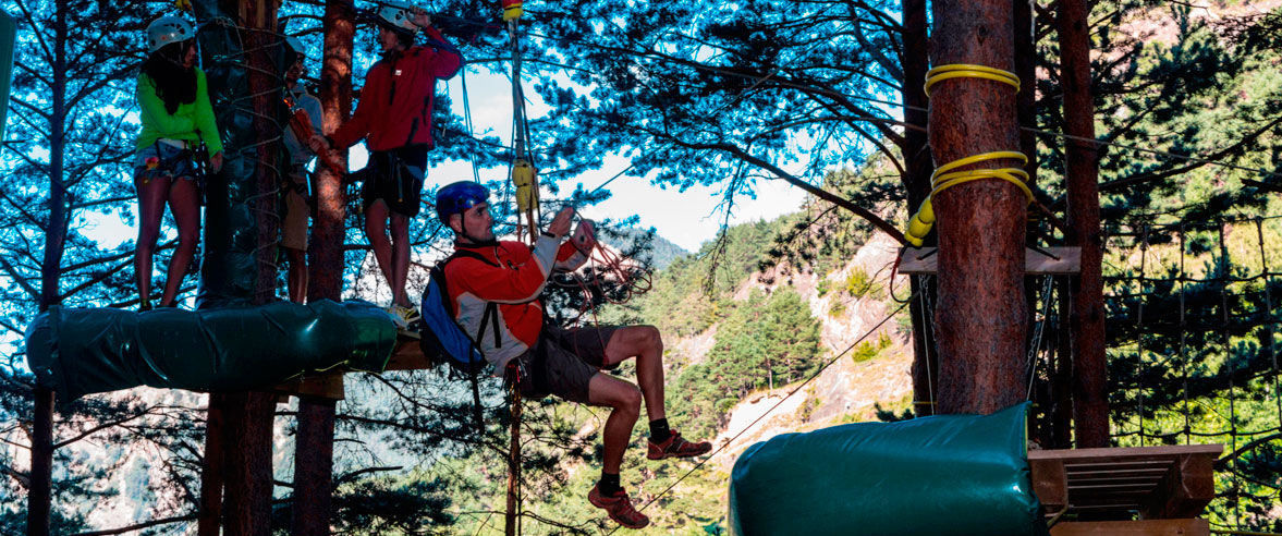 1177x492-aventura-als-arbres.jpg
